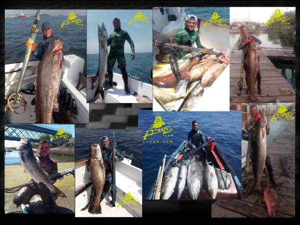 Semana Master de Pesca Submarina-SPEARFISHING